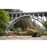 PLAY P.L.A.Y. Forest Friends Dog Toys | Hamilton the Hedgehog