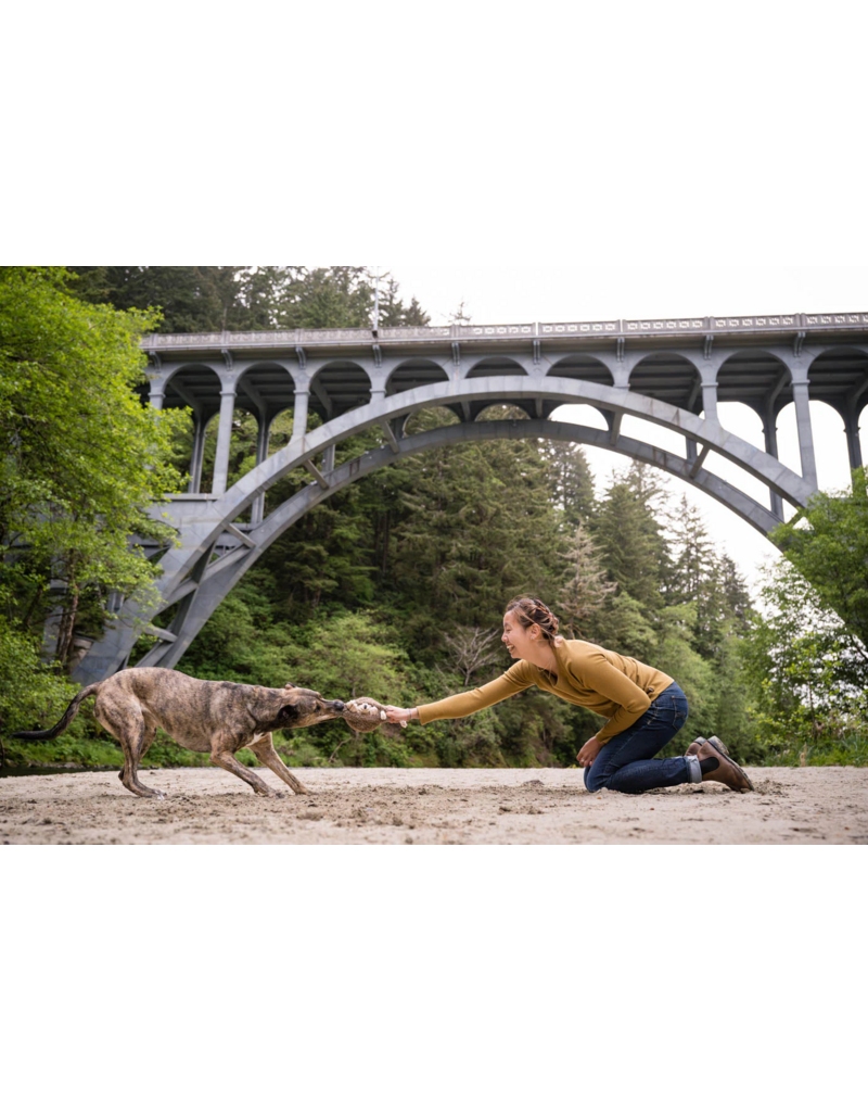 PLAY P.L.A.Y. Forest Friends Dog Toys | Hamilton the Hedgehog