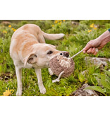 PLAY P.L.A.Y. Forest Friends Dog Toys | Hamilton the Hedgehog