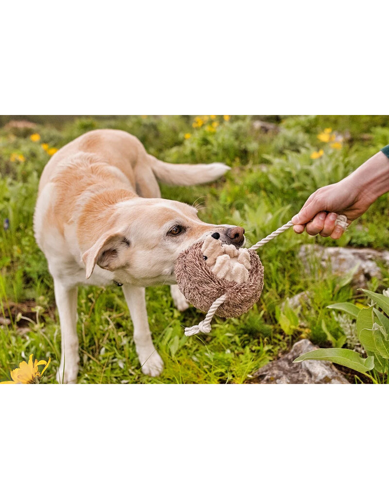 PLAY P.L.A.Y. Forest Friends Dog Toys | Hamilton the Hedgehog