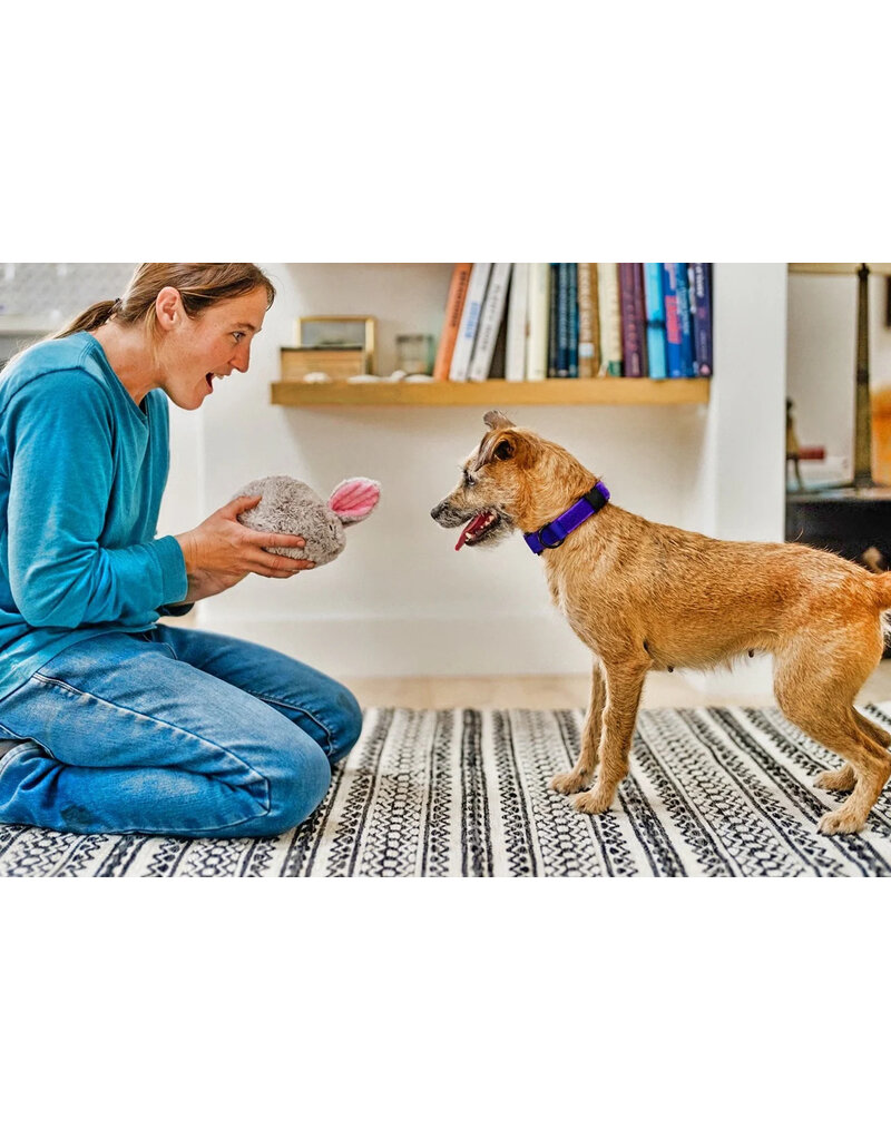 PLAY P.L.A.Y. Forest Friends Dog Toys | Baxter the Bunny