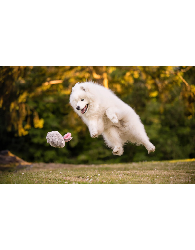 PLAY P.L.A.Y. Forest Friends Dog Toys | Baxter the Bunny