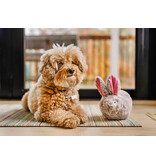 PLAY P.L.A.Y. Forest Friends Dog Toys | Baxter the Bunny