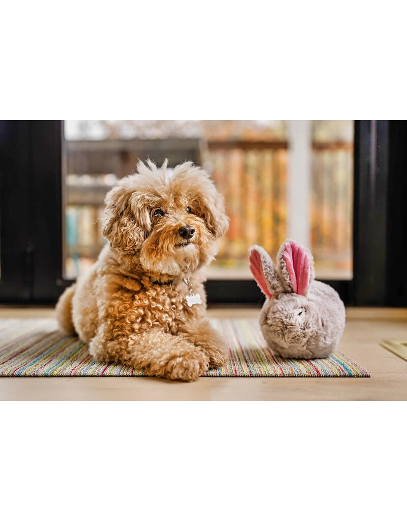 PLAY P.L.A.Y. Forest Friends Dog Toys | Baxter the Bunny