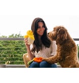 PLAY P.L.A.Y. Hippity Hoppity Dog Toys | Chick Me Out