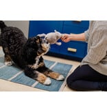 PLAY P.L.A.Y. Big Five of Africa Dog Toys | Rhino