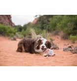 PLAY P.L.A.Y. Big Five of Africa Dog Toys | Rhino