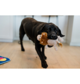 PLAY P.L.A.Y. Big Five of Africa Dog Toys | Lion