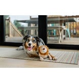 PLAY P.L.A.Y. Big Five of Africa Dog Toys | Lion