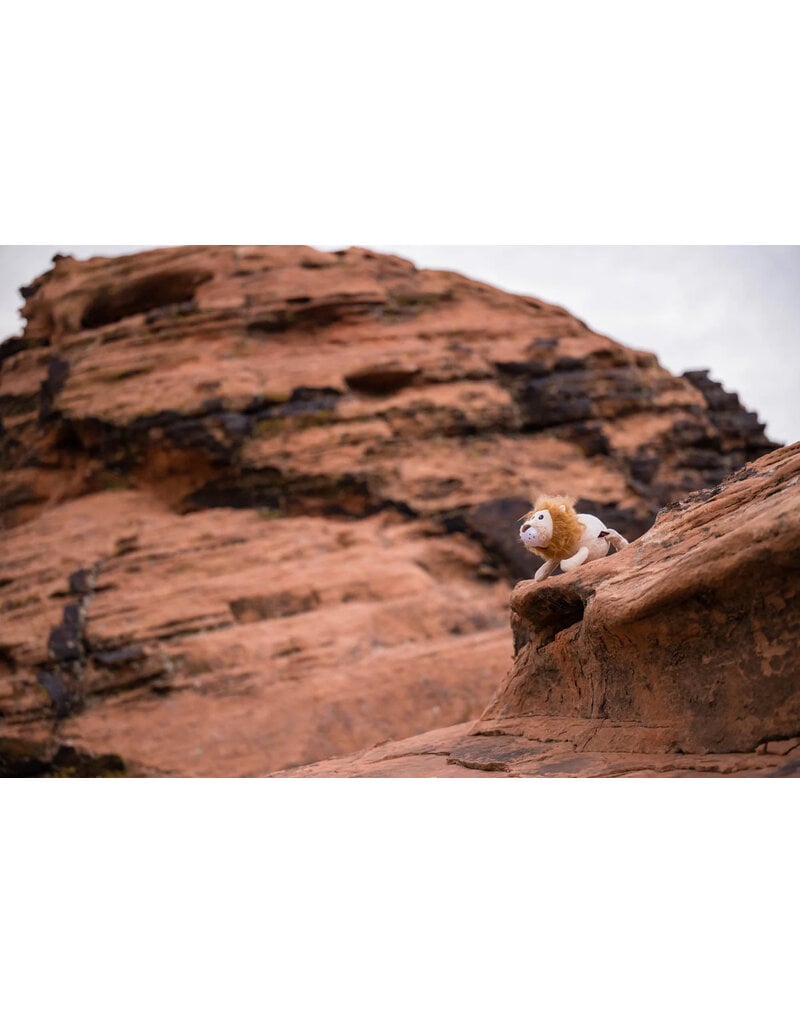 PLAY P.L.A.Y. Big Five of Africa Dog Toys | Lion