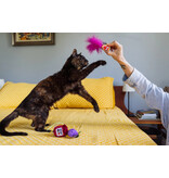 PLAY P.L.A.Y. Feline Frenzy Cat Toys | Fig N' Whiskers