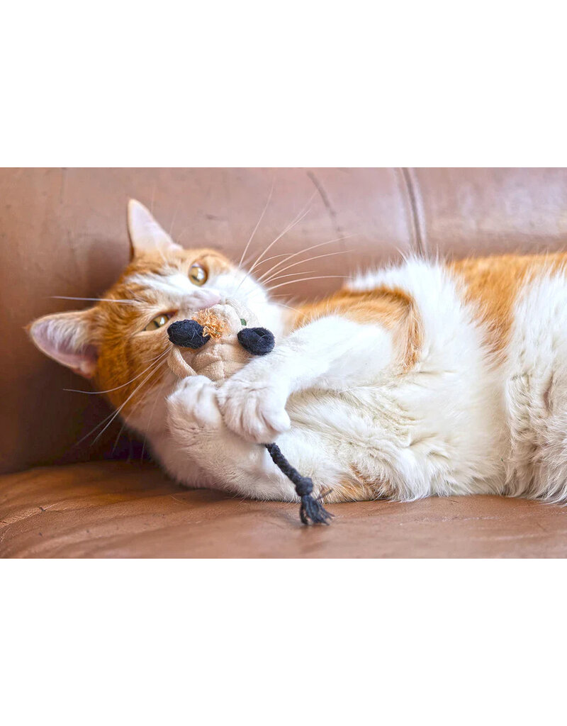 PLAY P.L.A.Y. Feline Frenzy Cat Toys | Menacing Mice 2 pk