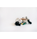PLAY P.L.A.Y. Feline Frenzy Cat Toys | Purrfect Pairings