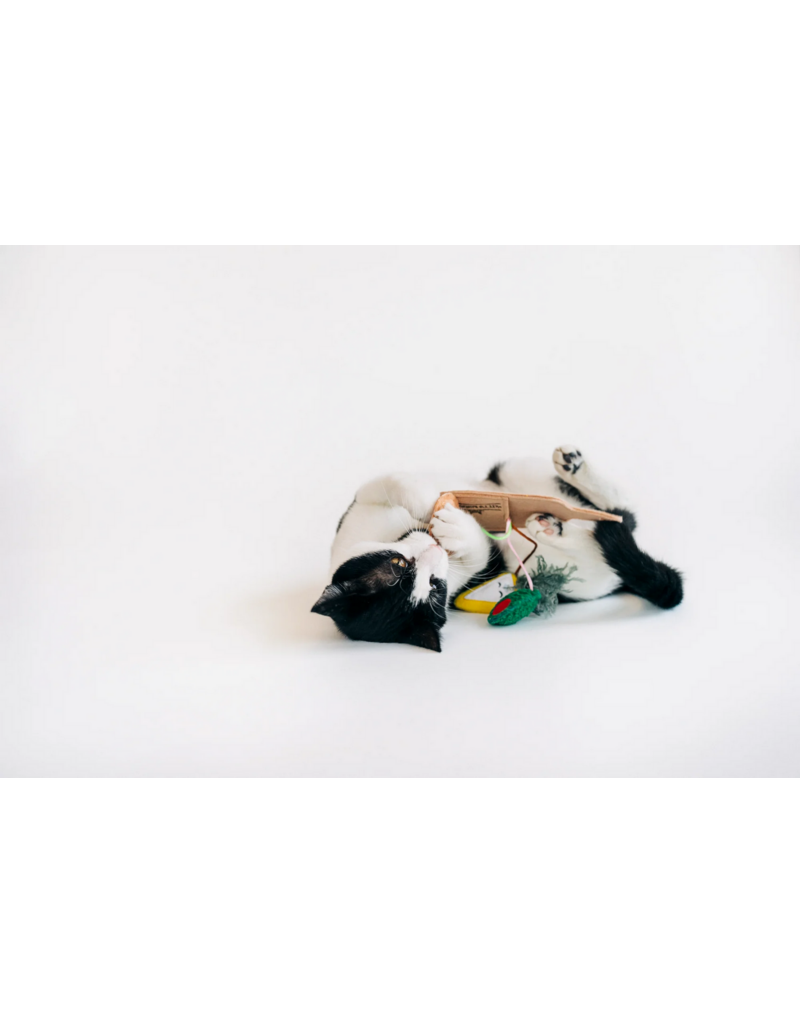 PLAY P.L.A.Y. Feline Frenzy Cat Toys | Purrfect Pairings