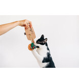 PLAY P.L.A.Y. Feline Frenzy Cat Toys | Purrfect Pairings