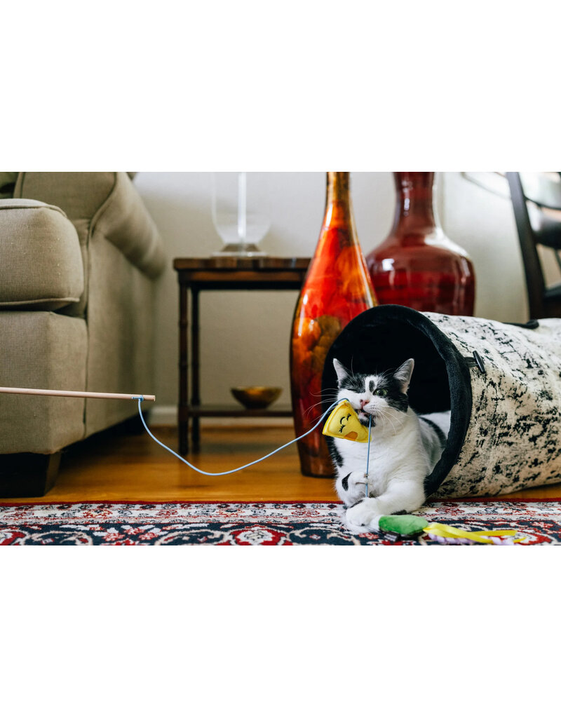 PLAY P.L.A.Y. Feline Frenzy Cat Toys | Feline Blanc Wand Toy