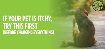 If Your Pet Is Itchy, Try This First!