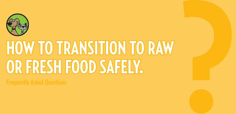 How to Transition to Raw or Fresh Food Safely.