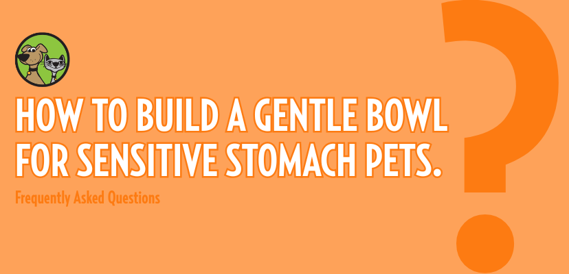 How to Build a Gentle Bowl for Sensitive Stomach Pets.