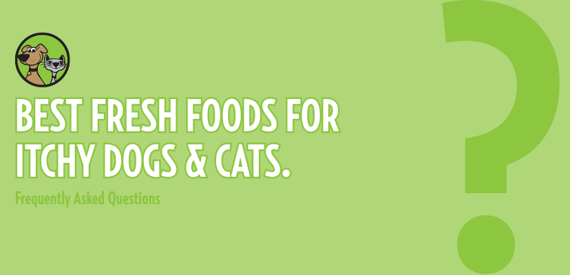 Best Fresh Foods for Itchy Dogs & Cats.