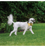 fabdog Fab Dog Plush Toys | Faball Bumble Bee Small