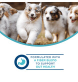 Fromm Fromm Nutritionals Canned Dog Food | Digestive Support Pate 13 oz single