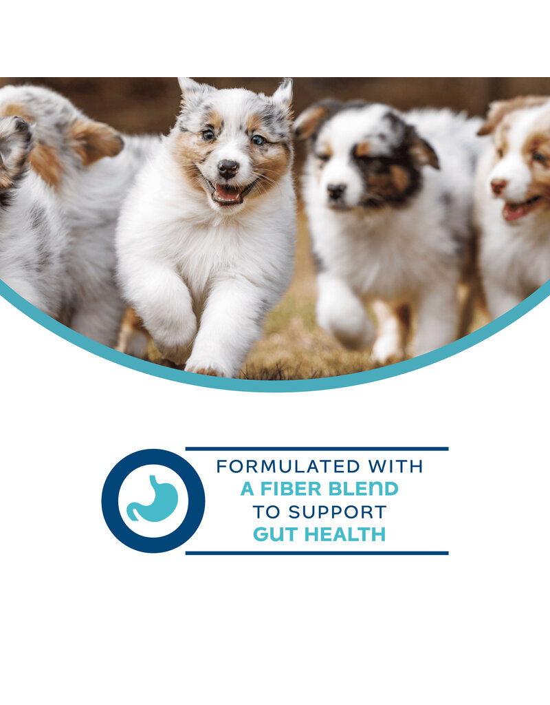 Fromm Fromm Nutritionals Canned Dog Food | Digestive Support Pate 13 oz single