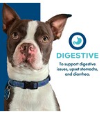 Fromm Fromm Nutritionals Canned Dog Food | Digestive Support Pate 13 oz single