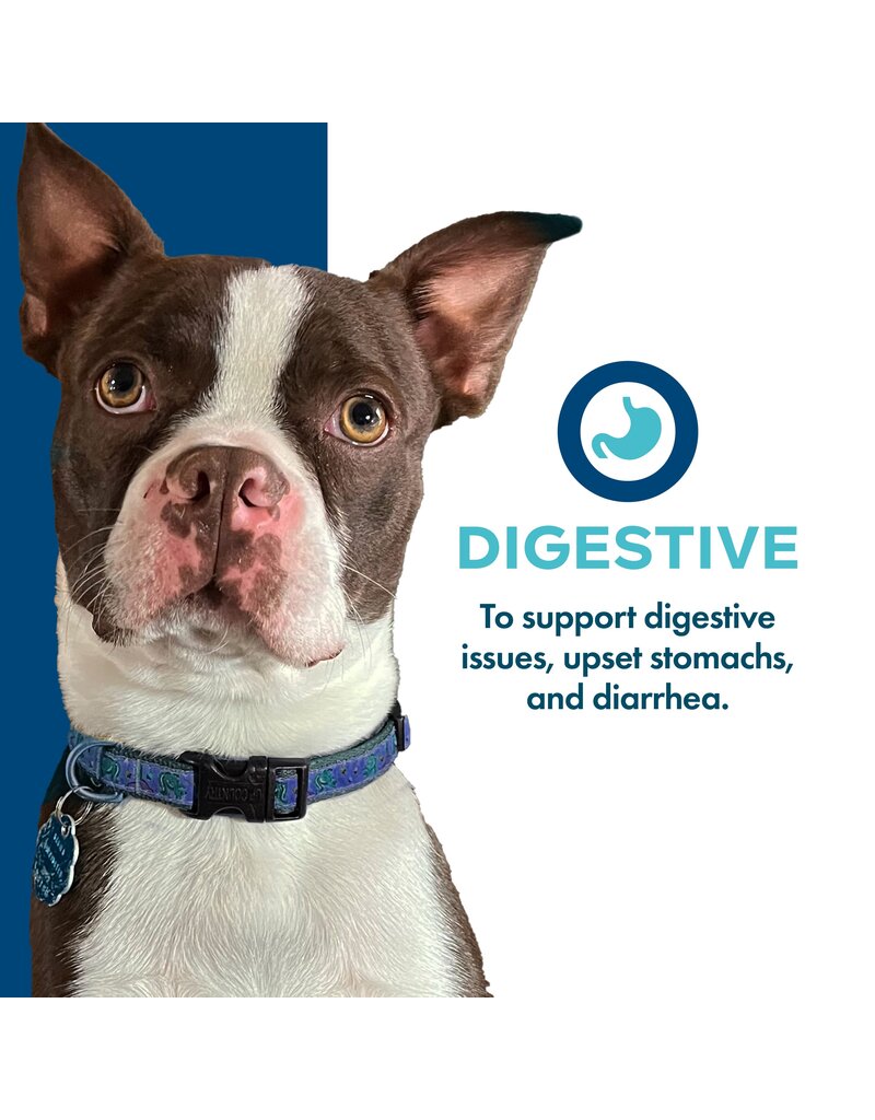 Fromm Fromm Nutritionals Canned Dog Food | Digestive Support Pate 13 oz single