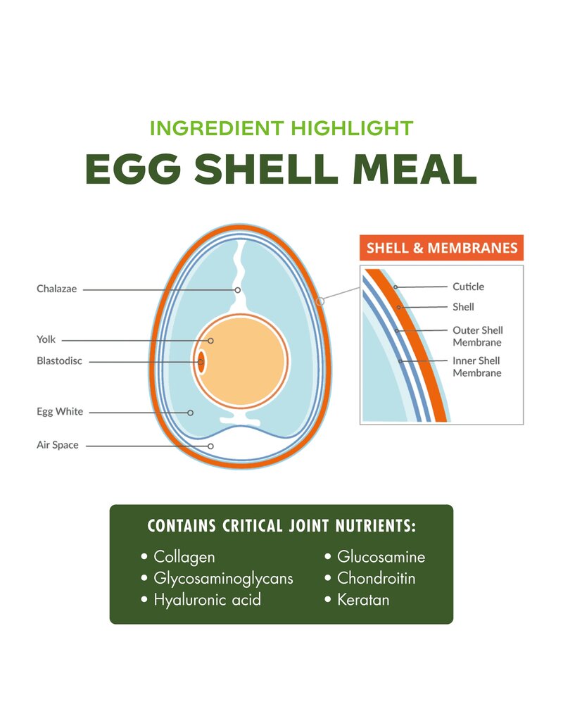 Fromm Fromm Nutritionals Canned Dog Food | Mobility Support Pate 13 oz single