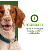 Fromm Fromm Nutritionals Canned Dog Food | Mobility Support Pate 13 oz CASE