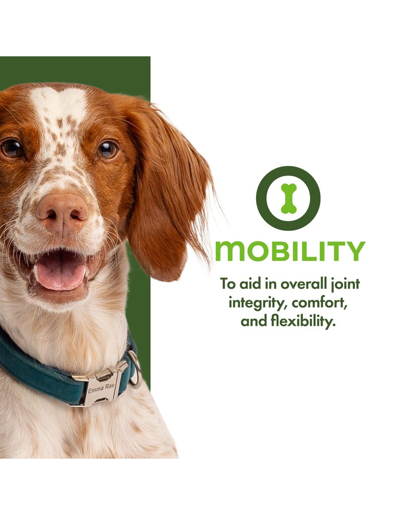 Fromm Fromm Nutritionals Canned Dog Food | Mobility Support Pate 13 oz CASE