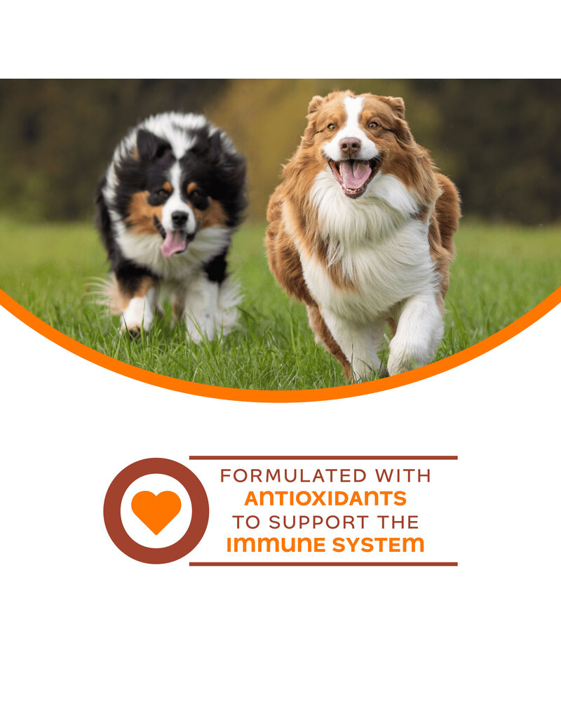 Fromm Fromm Nutritionals Canned Dog Food | Immunity Support Pate 13 oz single