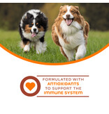 Fromm Fromm Nutritionals Canned Dog Food | Immunity Support Pate 13 oz CASE