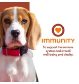 Fromm Fromm Nutritionals Canned Dog Food | Immunity Support Pate 13 oz CASE