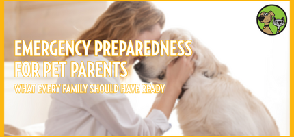 Emergency Preparedness for Pet Parents