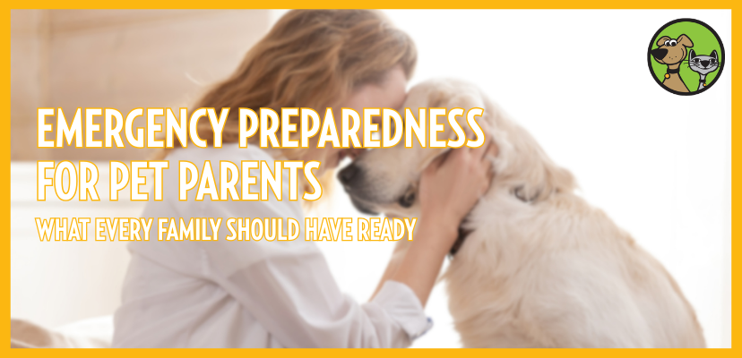 Emergency Preparedness for Pet Parents