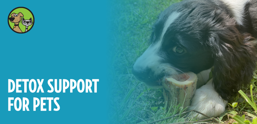 Detox Support for Pets