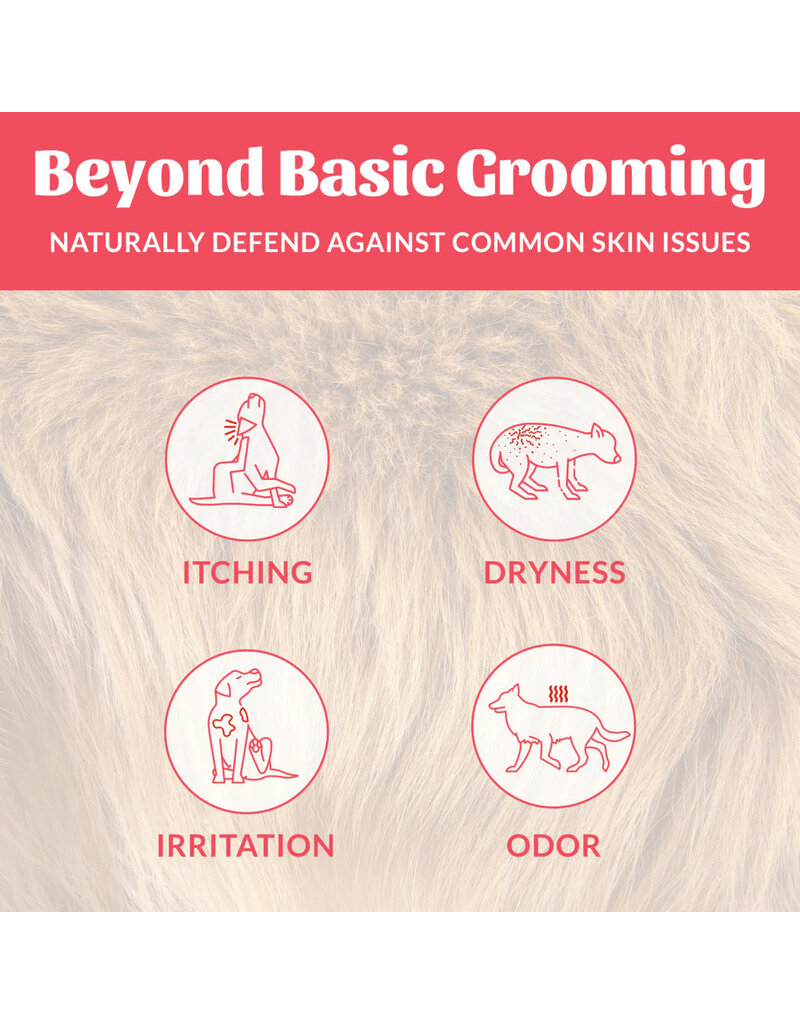 Skout's Honor Skout's Honor Grooming | Sunkissed Coconut Probiotic Shampoo & Conditioner 16 oz