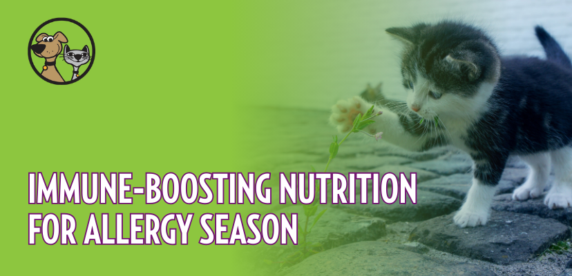 Immune-Boosting Nutrition for Allergy Season