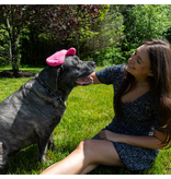 Tick Solutions Tick Solutions | Tick Mitt Pink