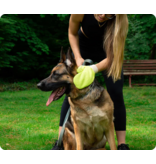 Tick Solutions Tick Solutions | Tick Mitt Yellow