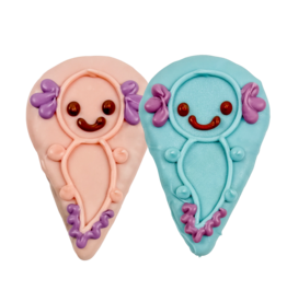 Bosco and Roxy's Bosco & Roxy's 2026 Spring Collection | Sir Smiles Axolotl single