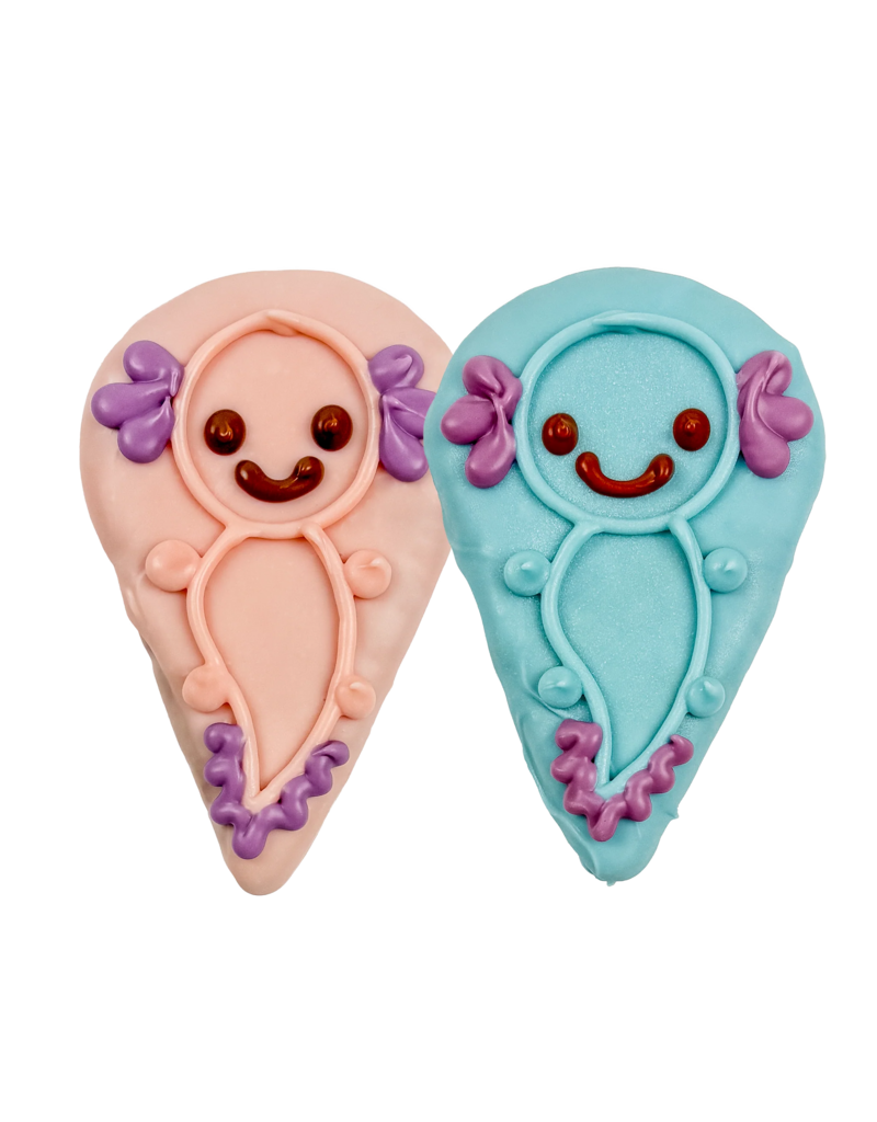 Bosco and Roxy's Bosco & Roxy's 2026 Spring Collection | Sir Smiles Axolotl single