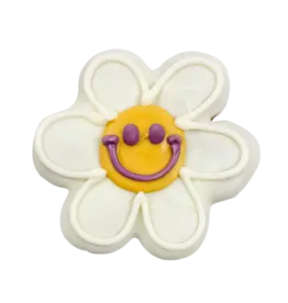 Bosco and Roxy's Bosco & Roxy's 2026 Spring Collection | Daisy Doodles single