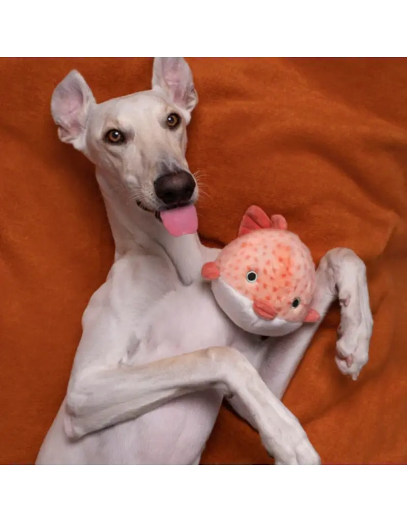 Fluff & Tuff Fluff & Tuff Inc. Dog Toys | Dottie Puffer Fish Small