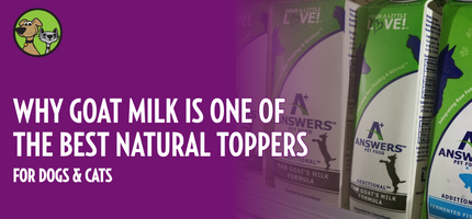 Why Goat Milk Is One of the Best Natural Toppers