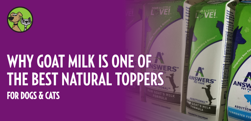 Why Goat Milk Is One of the Best Natural Toppers