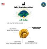 Wild Meadow Farms Wild Meadow Farms Cat Treats | Original Egg Puffs with Catnip 1 oz