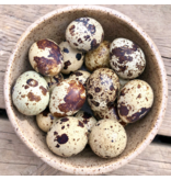 Big Country Raw Big Country Raw Dog Food | Quail Eggs 18 Ct (*Frozen Products for Local Delivery or In-Store Pickup Only. *)